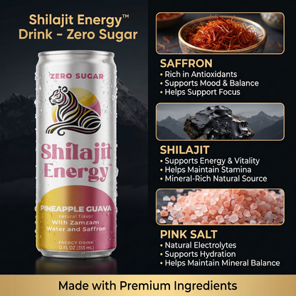 Shilajit Zero Sugar Energy Drink | Pink Himalayan Salt | 12-Pack